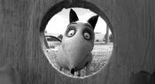 Photo de Frankenweenie 34 / 70