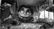 Photo de Frankenweenie 36 / 70