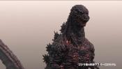 Photo de Godzilla 8 / 38