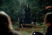 Photo de Hansel et Gretel : Witch Hunters 50 / 63