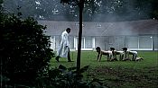 Photo de The Human Centipede (First Sequence) 13 / 17