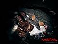 Photo de Humanimal 4 / 5