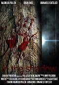 IN THE SHADOW IN THE SHADOWS - Le Teaser et des images 