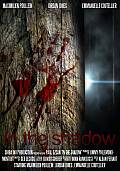 IN THE SHADOW IN THE SHADOWS - Le Teaser et des images