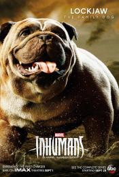 Photo de Inhumans  27 / 37