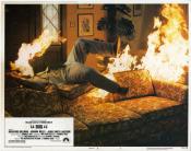 Photo de Insectes de feu, Les 9 / 27