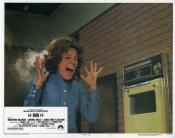 Photo de Insectes de feu, Les 10 / 27