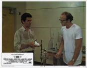 Photo de Insectes de feu, Les 15 / 27