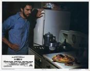 Photo de Insectes de feu, Les 16 / 27