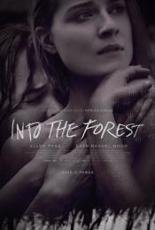 Photo de Into the Forest  1 / 16