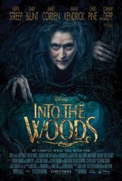 Photo de Into the Woods: Promenons-nous dans les bois 37 / 37