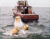 Photo de Dents de la mer, Les 9 / 13