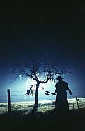Photo de Jeepers Creepers 17 / 25