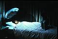 Photo de Ju-on: The Grudge 9 / 12