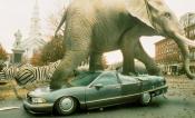 Photo de Jumanji 4 / 8