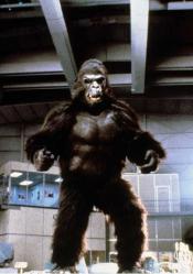 Photo de King Kong Lives 5 / 19