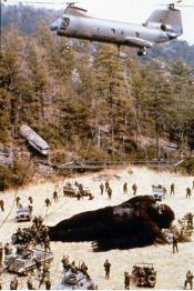 Photo de King Kong Lives 7 / 19