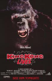 Photo de King Kong Lives 16 / 19