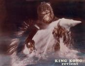 Photo de King Kong Revient 4 / 5