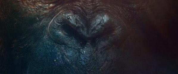 MEDIA - KONG SKULL ISLAND  La nouvelle bande-annonce enfin disponible 