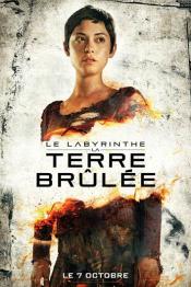 Photo de Labyrinthe 2, Le : La Terre Brûlée 11 / 16