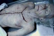Laid to Rest