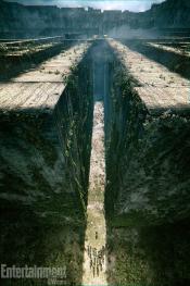 Photo de Labyrinthe, Le 12 / 22