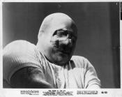 Photo de Malédiction De La Mouche, La 3 / 5