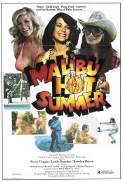 Malibu Hot Summer