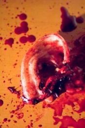 Photo de Masters of Horror 14 / 16