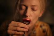 Photo de Only Lovers Left Alive 16 / 33