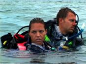 Open Water : En Eaux Profondes