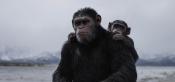 Photo de Planète des Singes - Suprématie, La 22 / 43