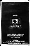 Photo de Poltergeist 4 / 13