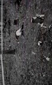 Photo de Population Zero  4 / 9