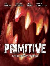 Photo de Primitive 11 / 11