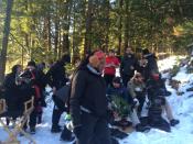 Photo de Puppet Killer  2 / 4