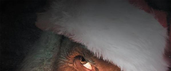 Sortie de la semaine PERE NOEL ORIGINES