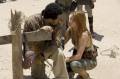 Photo de Resident Evil: Extinction 69 / 76