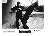 Photo de Salut Bruce Lee, bonjour le tigre 3 / 9