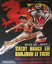 Photo de Salut Bruce Lee, bonjour le tigre 9 / 9