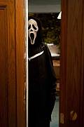 Photo de Scream 4 26 / 64