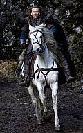DERNIER DES TEMPLIERS LE SEASON OF THE WITCH Nicolas Cage cavale