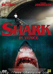 Shark in Venice