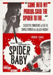 Photo de Spider Baby 1 / 1