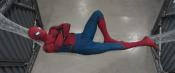 Photo de Spider-Man: Homecoming  7 / 44