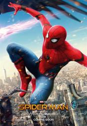 Photo de Spider-Man: Homecoming  40 / 44