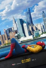 Photo de Spider-Man: Homecoming  43 / 44