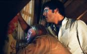 Photo de Straw Dogs 13 / 46