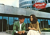 Photo de Suspiria 49 / 85